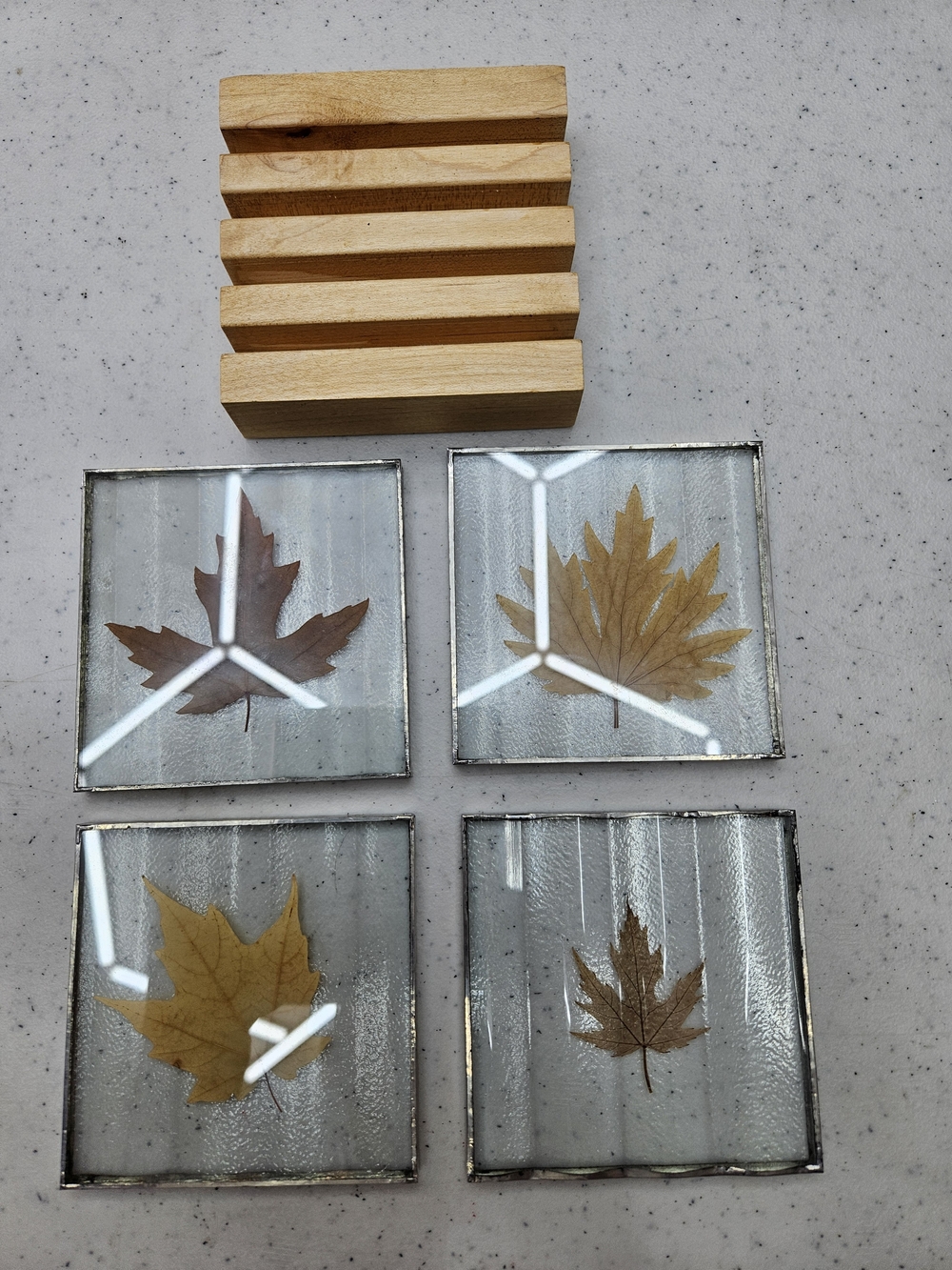Vintage Set of 4 Coasters Leaves Preserved in Lucite Fall Autumn 4"X4"